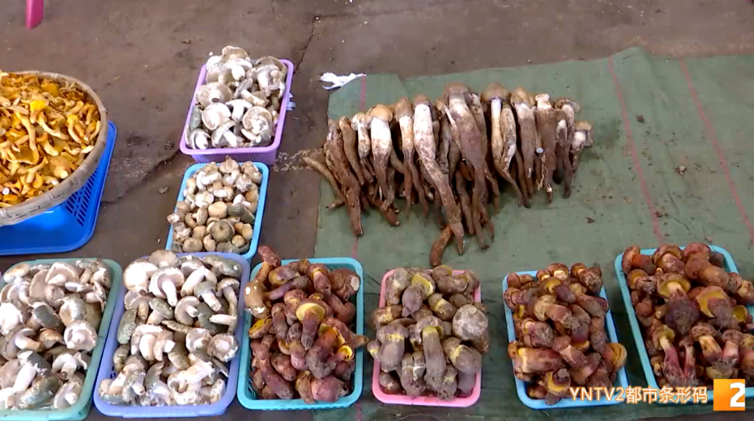 昆明发布