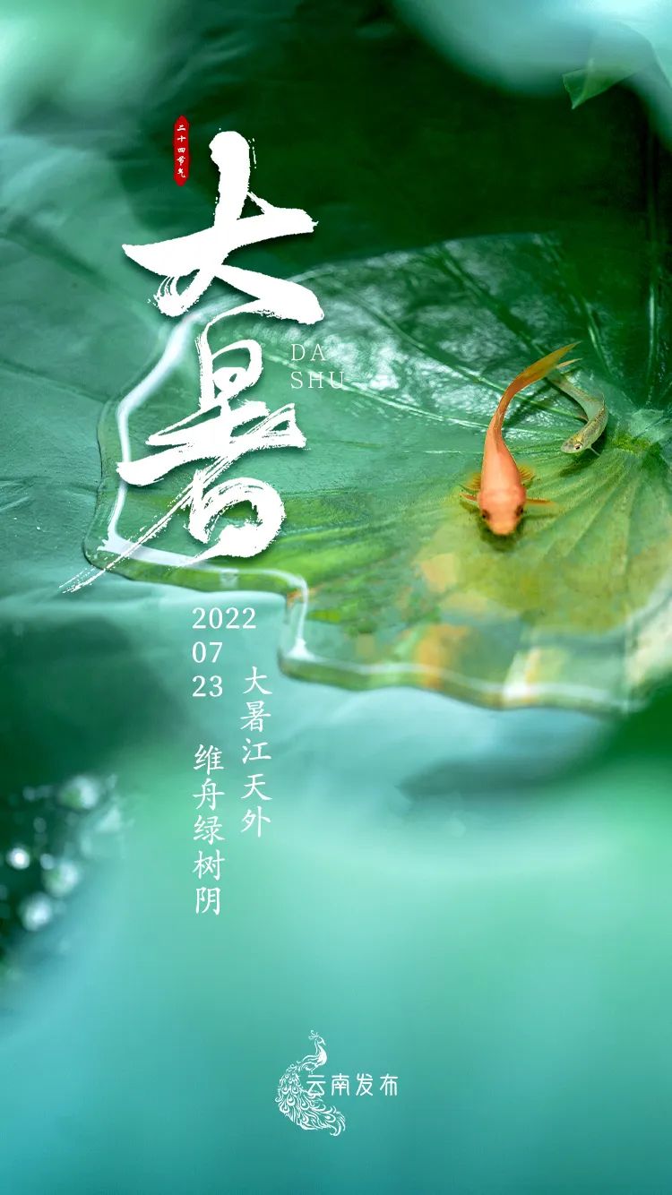 爱上富民