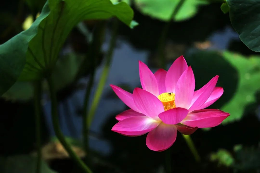 昆明文旅