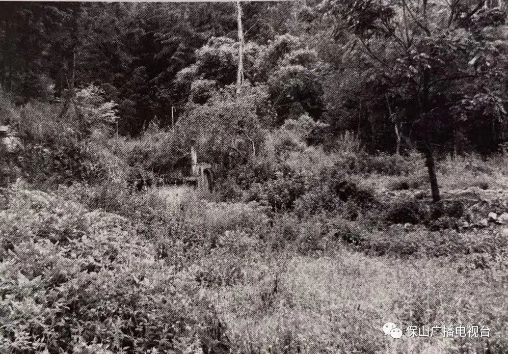 保山广播电视台