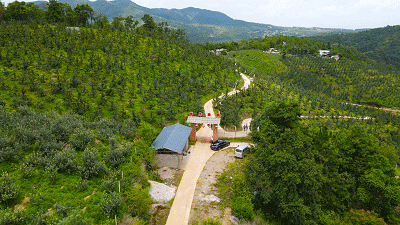 昆明文旅