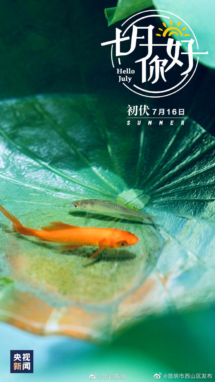 昆明市西山区发布