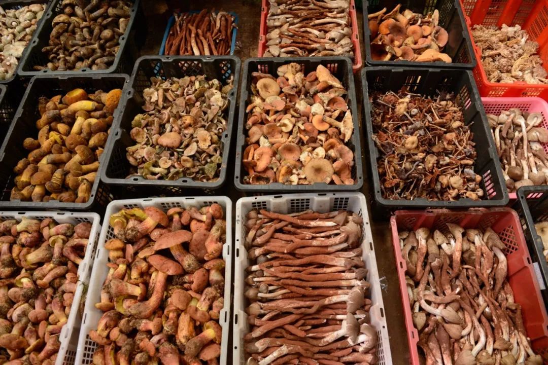 昆明市旅游监察支队