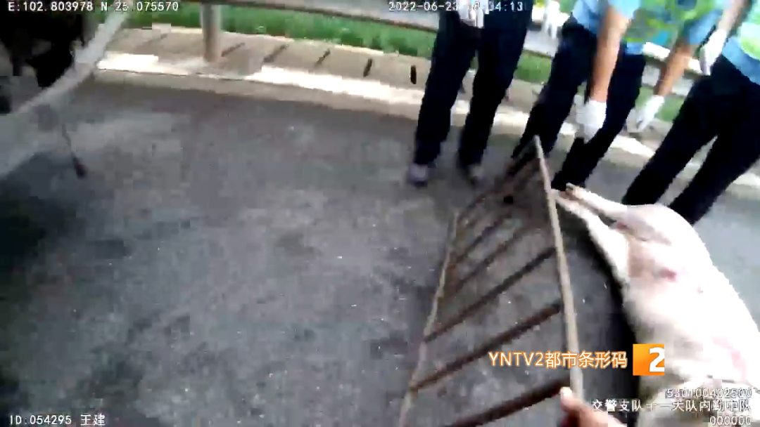 昆明信息港/cnkmxxg