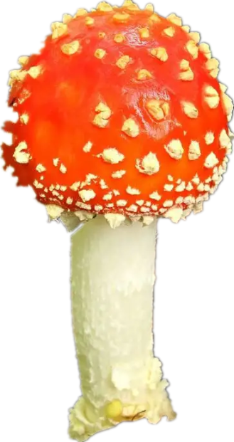 云南疾控