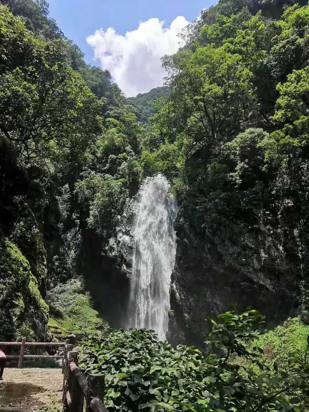 云南省文化和旅游厅