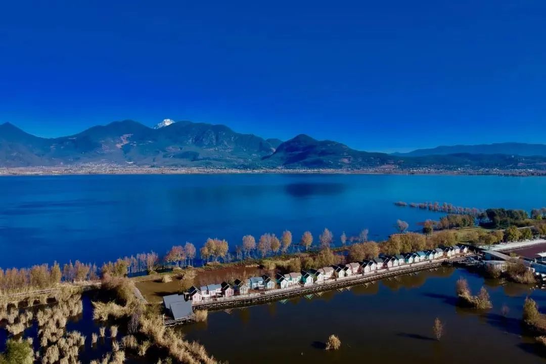 云南省文化和旅游厅