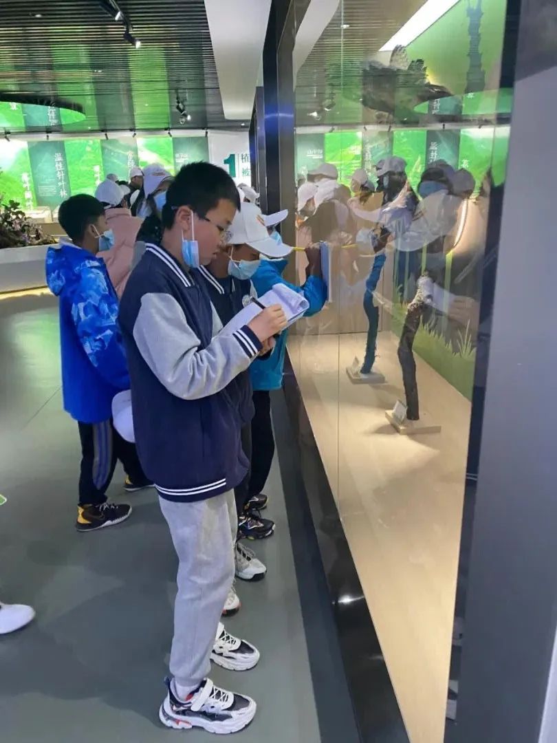 昆明轿子山旅游