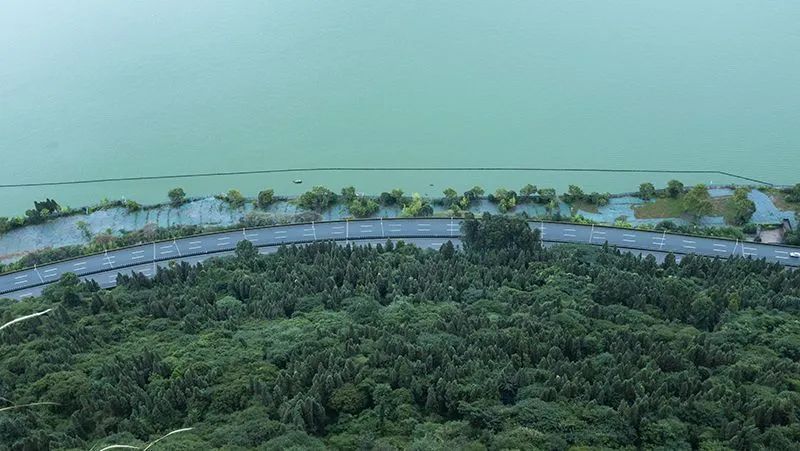 云南省文化和旅游厅