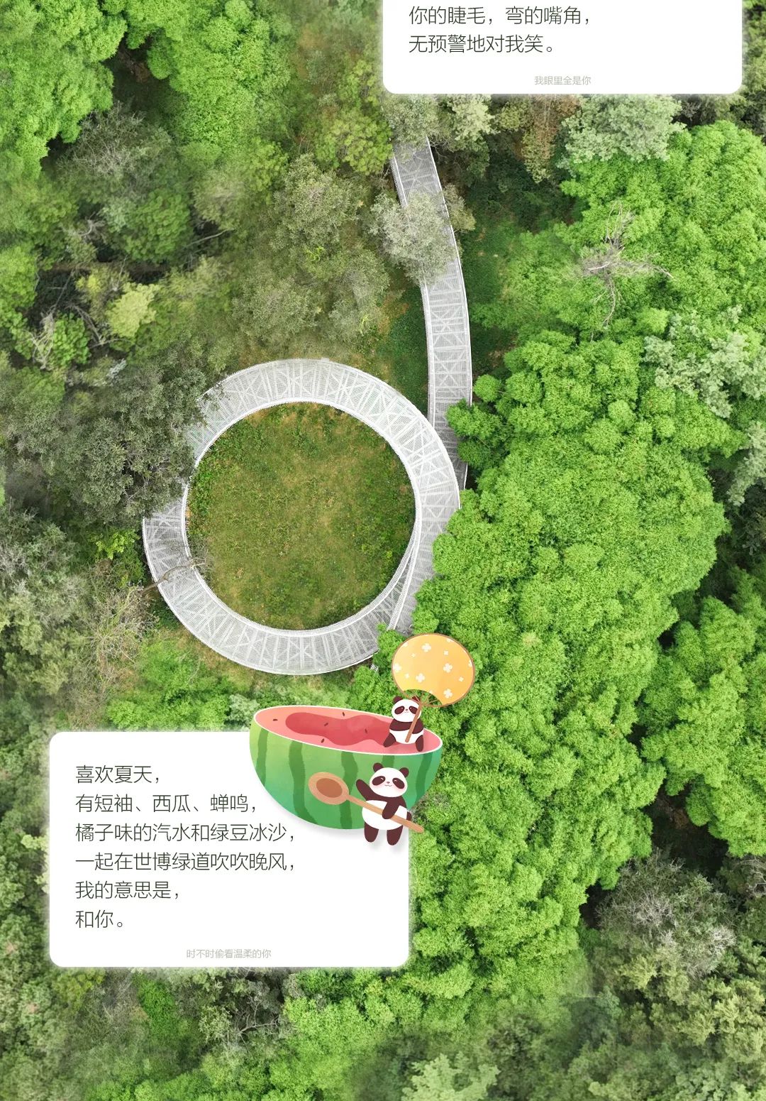 微观盘龙