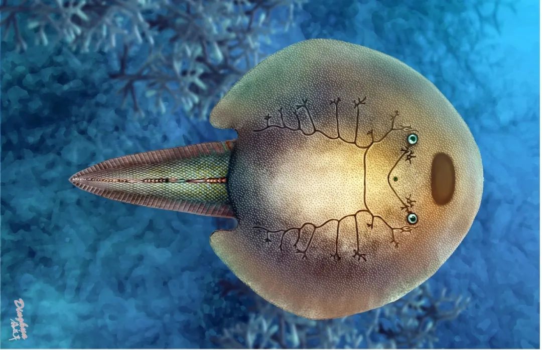 美丽云南微科普