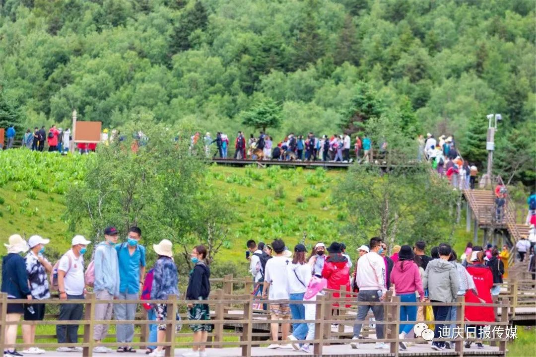 迪庆日报传媒