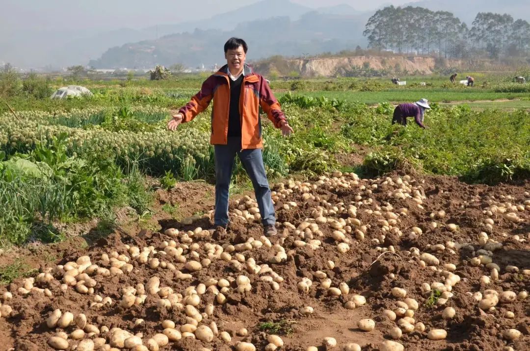 昆明信息港/cnkmxxg