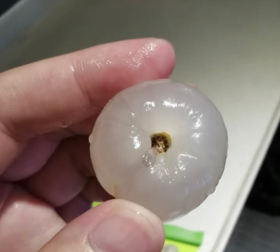 昆明信息港/cnkmxxg