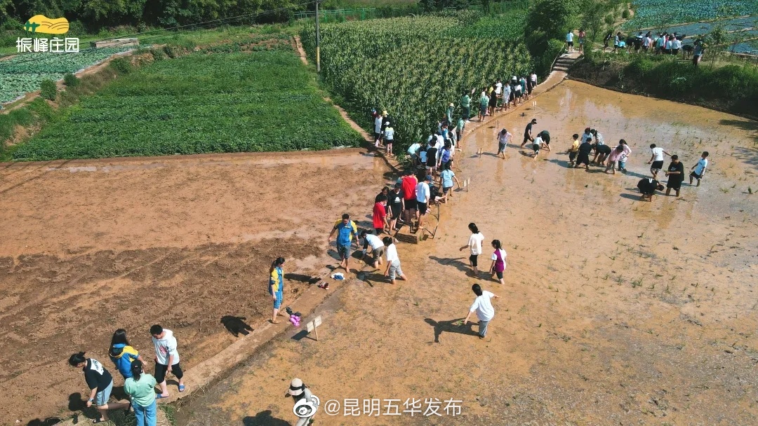 “昆明五华发布”微博