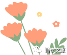 保山新闻网