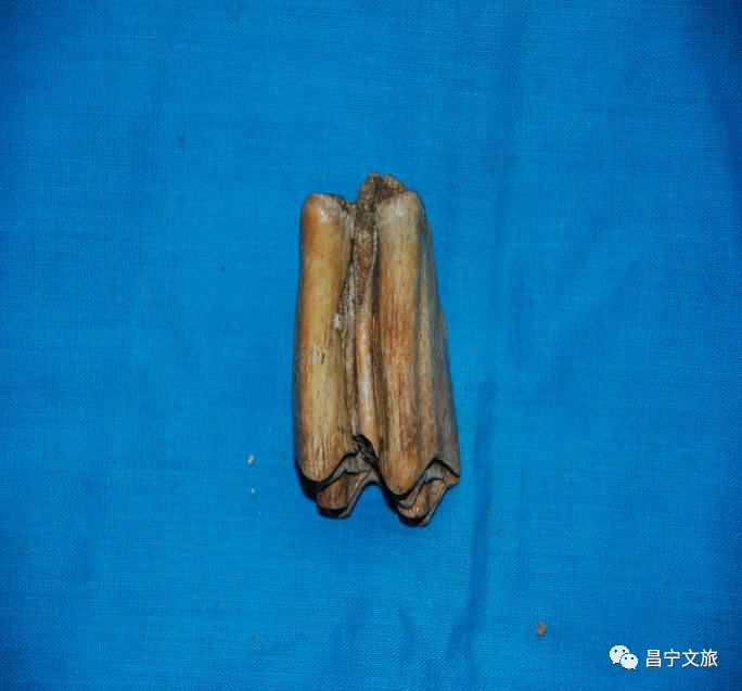 保山新闻网