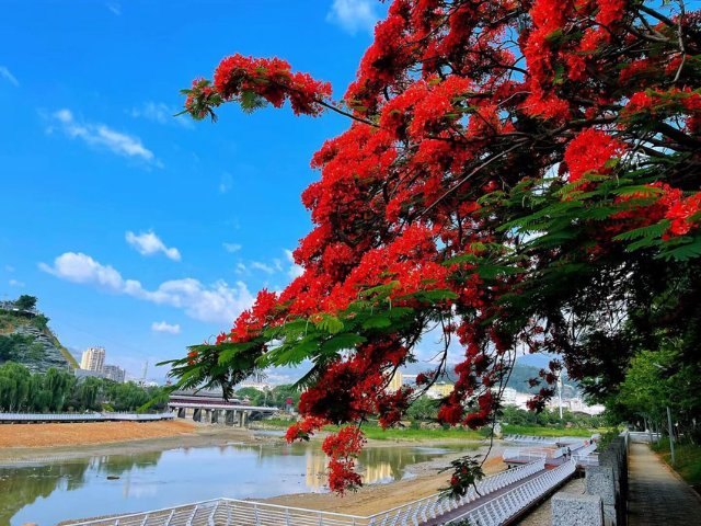 云南省文化和旅游厅