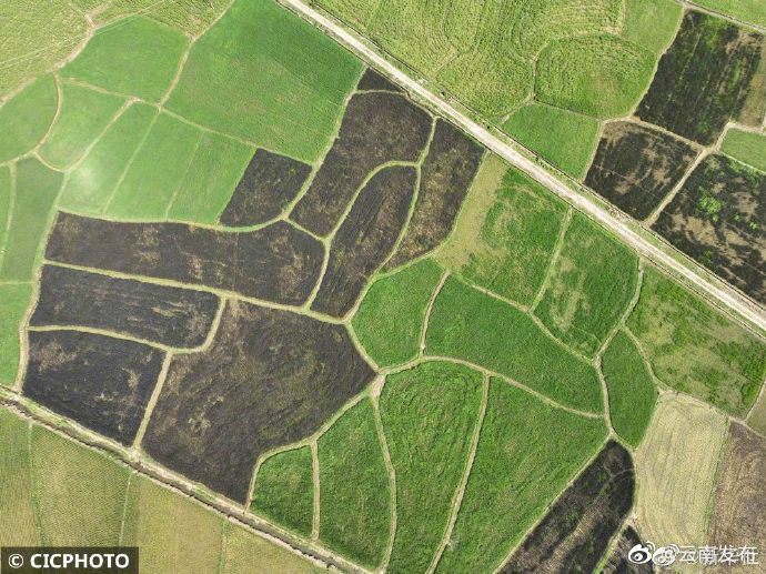 “云南发布”微博