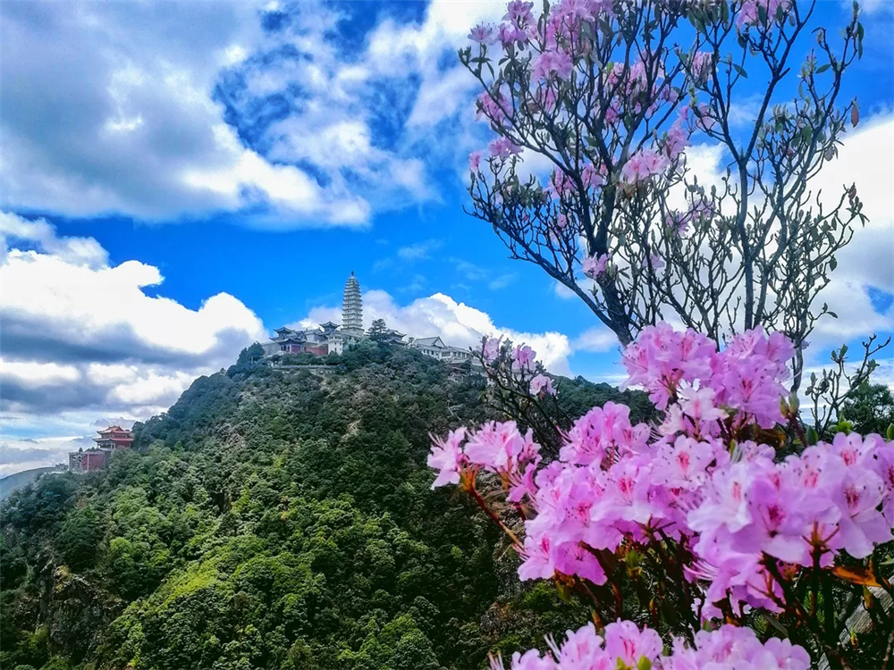云南省文化和旅游厅