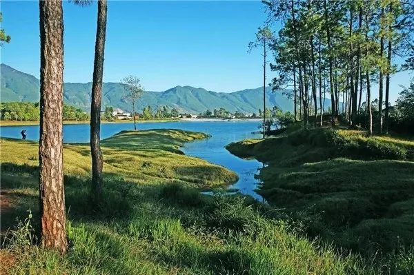 云南省文化和旅游厅