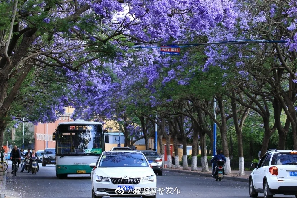 “昆明五华发布”微博