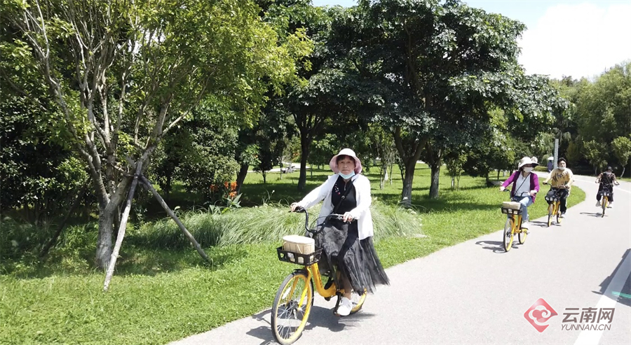 云南省文化和旅游厅