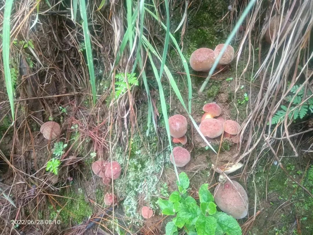 保山新闻网