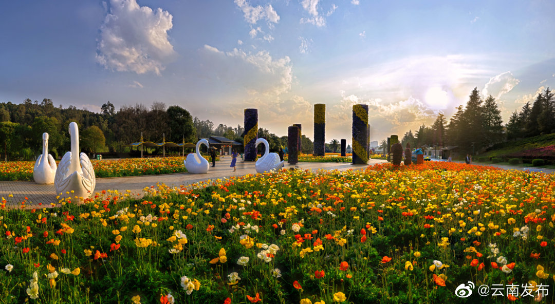 “云南发布”微博