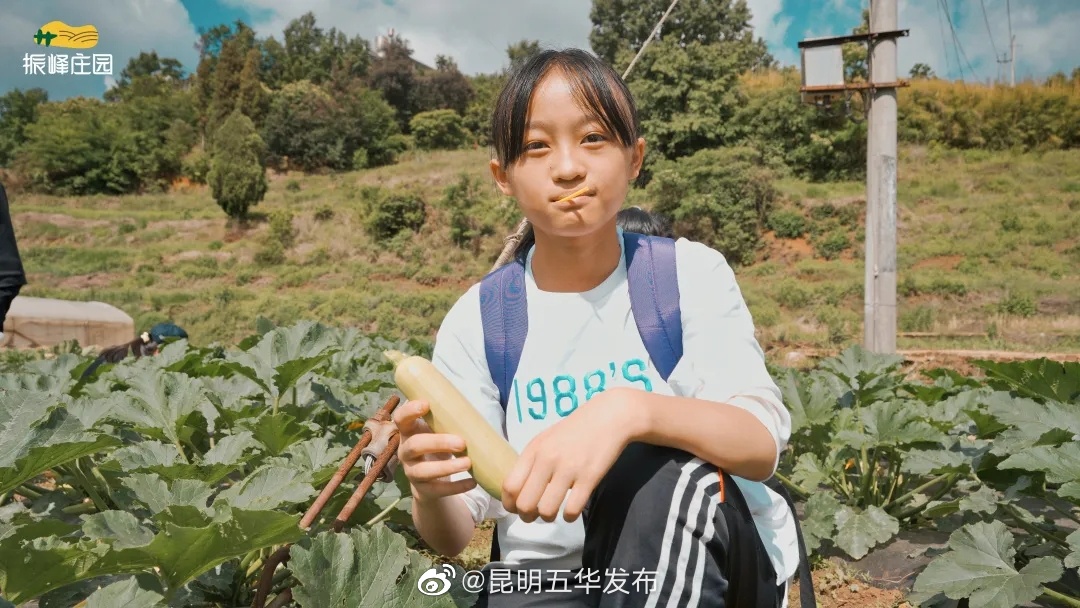 “昆明五华发布”微博