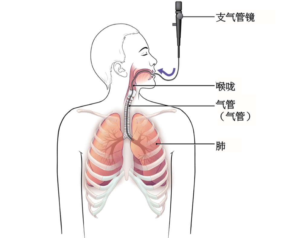 云南省中医医院