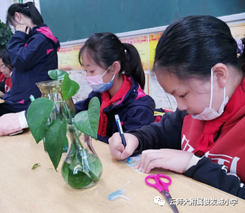 盘龙教育(微信)