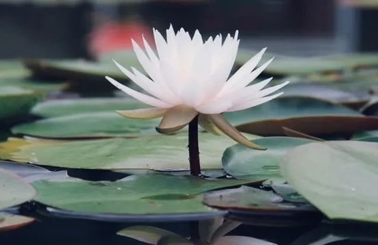 昆明发布