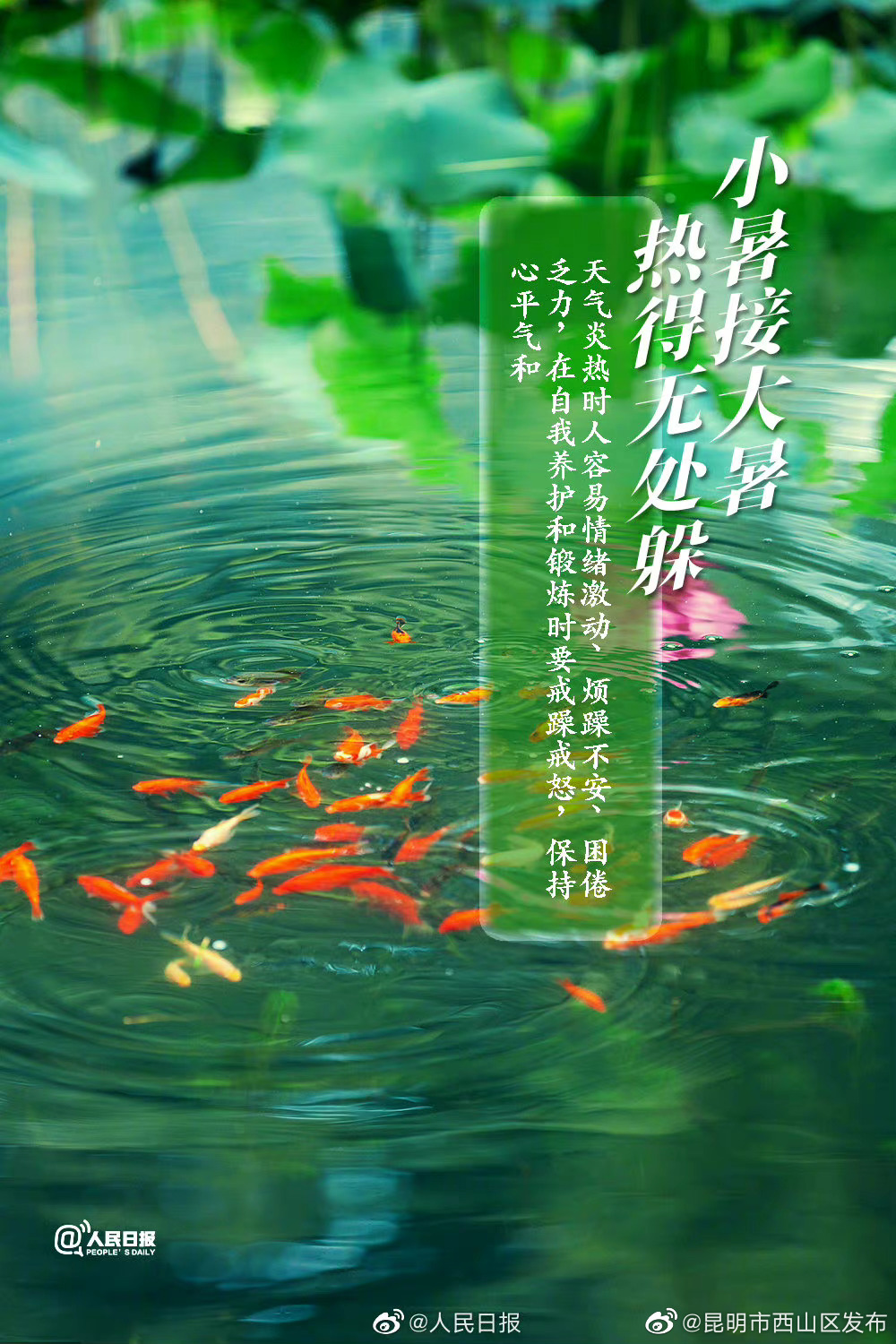 昆明市西山区发布