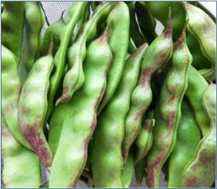 昆明阳宗海风景名胜区(微信)