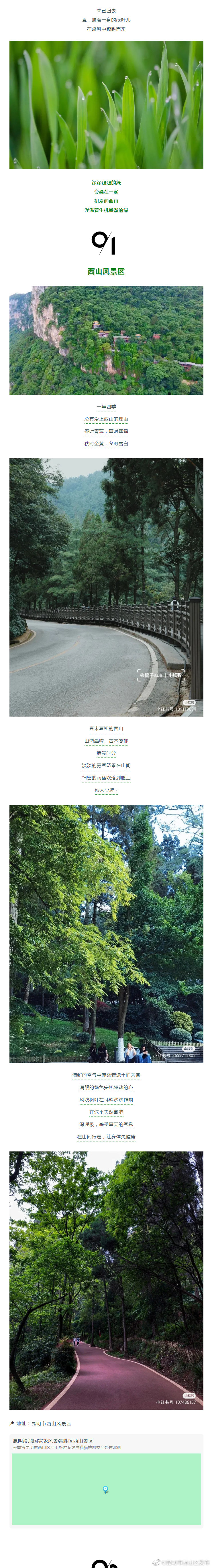 昆明市西山区发布