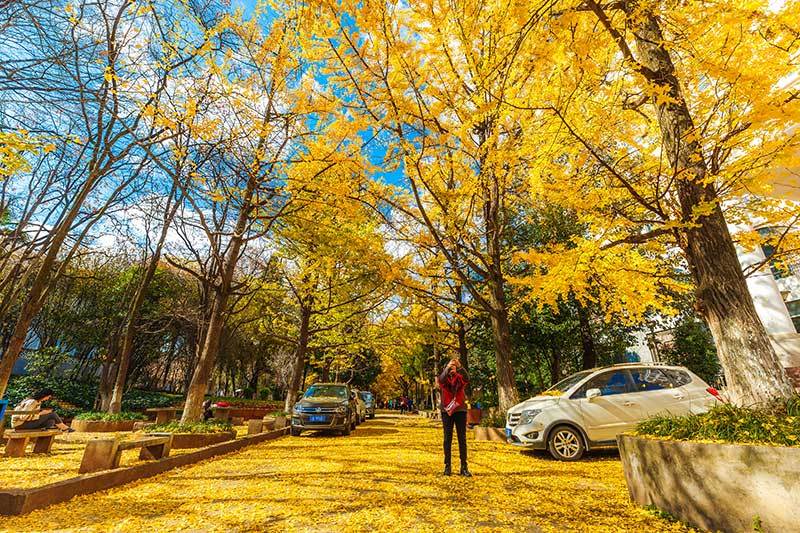 云南省文化和旅游厅