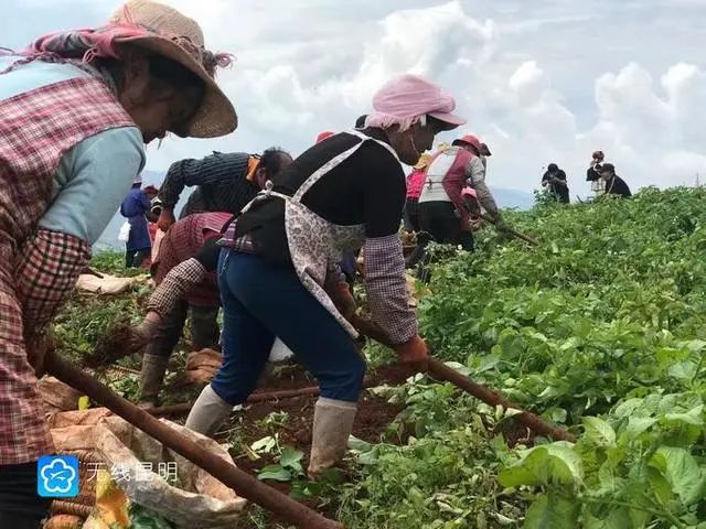 昆明市农业农村局
