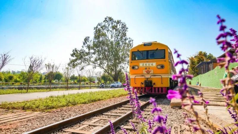 云南省文化和旅游厅