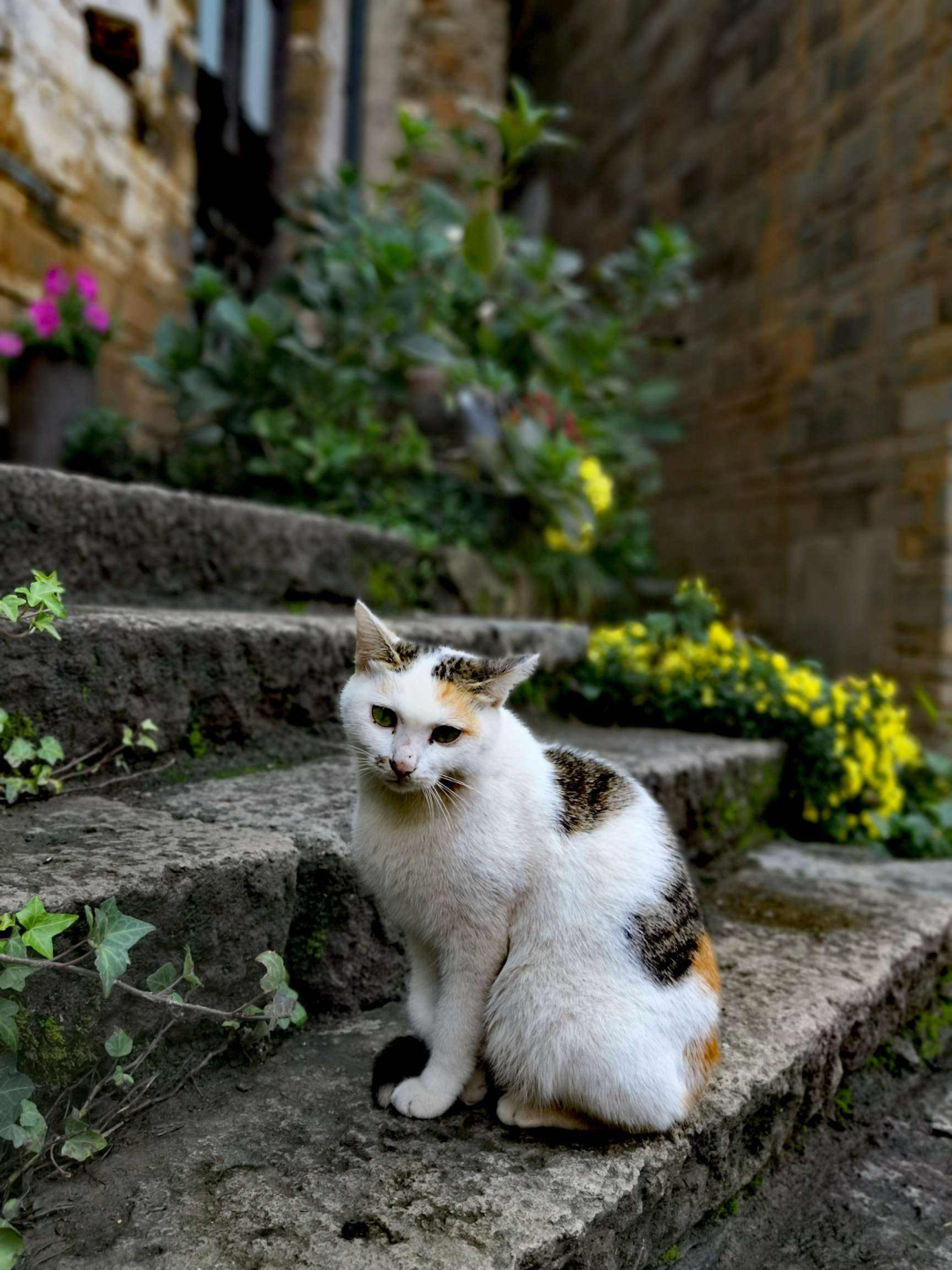 昆明文旅