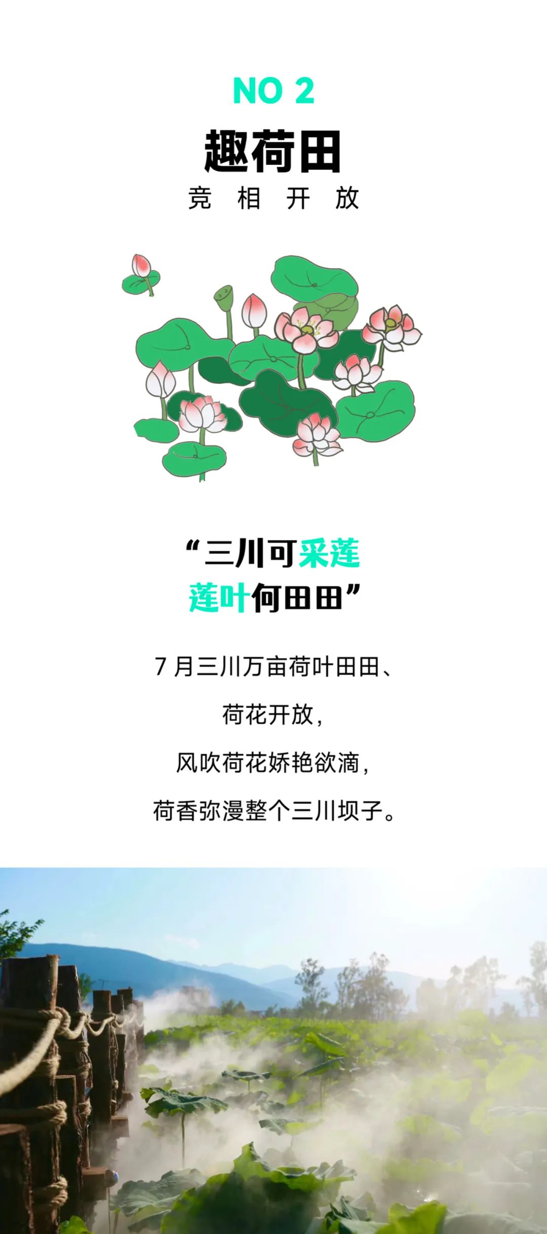 微丽江