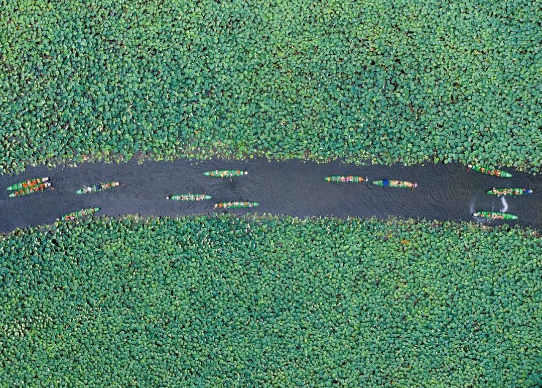 云南省文化和旅游厅