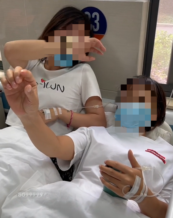 掌上春城