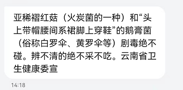 掌上春城