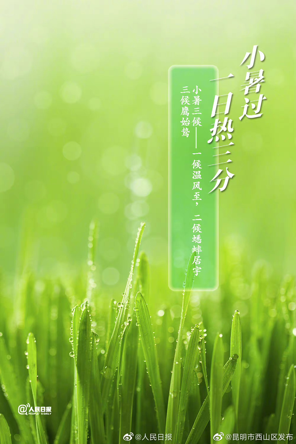 昆明市西山区发布