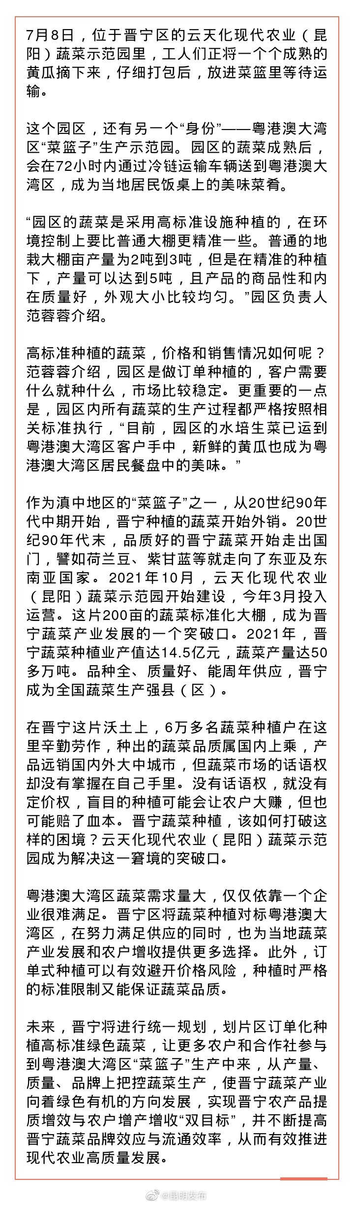 晋宁为粤港澳大湾区订单式种菜