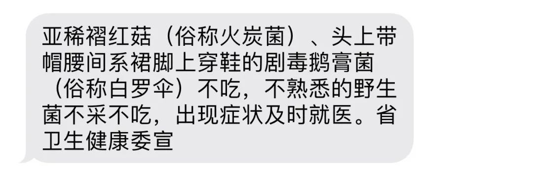 一部手机游云南