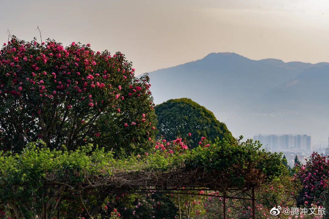 腾冲文旅微博