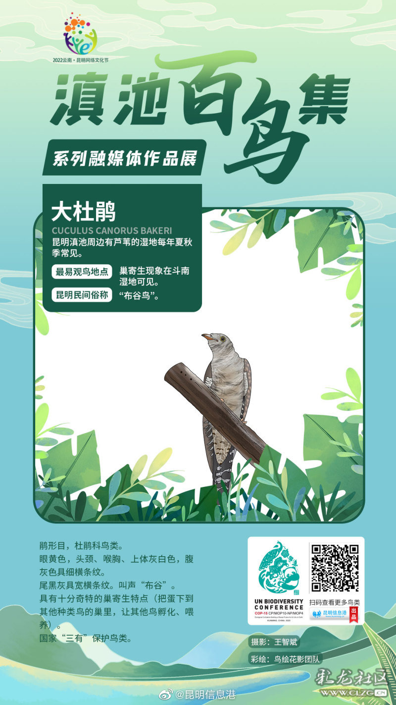 昆明信息港