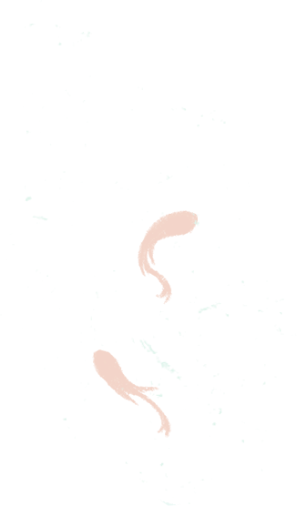 昆明发布